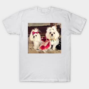 Ollie and Aggie T-Shirt